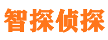 额尔古纳市婚外情调查